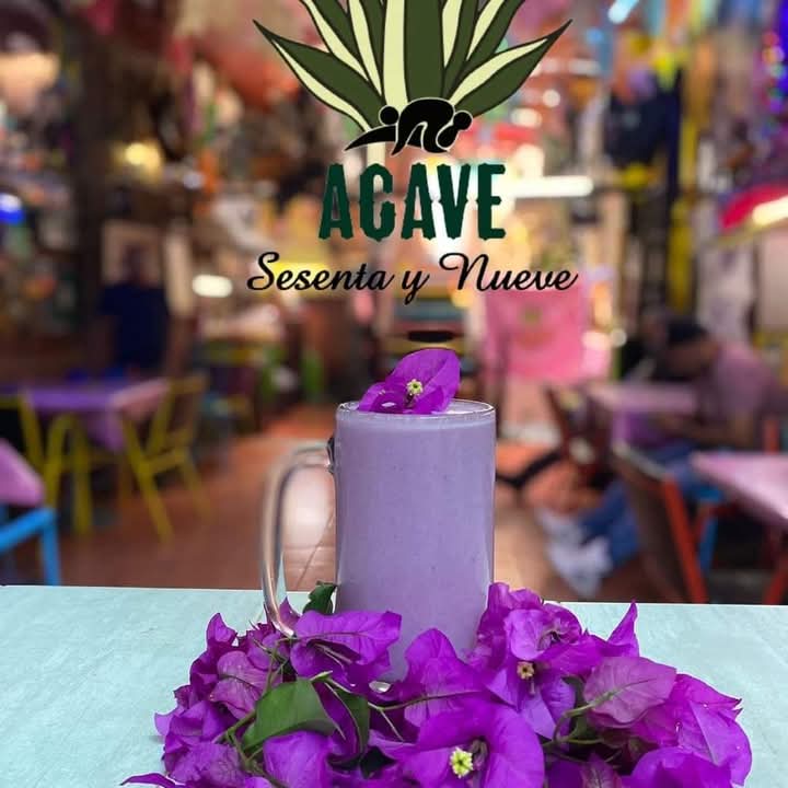 Agave 69