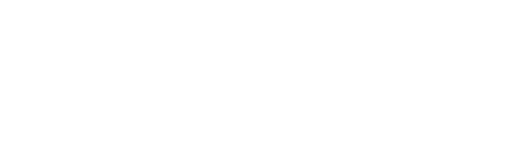 Subtítulo